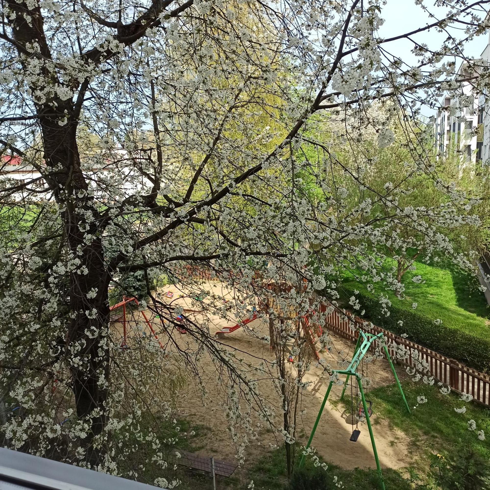 לובלין Apartament Dunikowskiego 57M2 מראה חיצוני תמונה